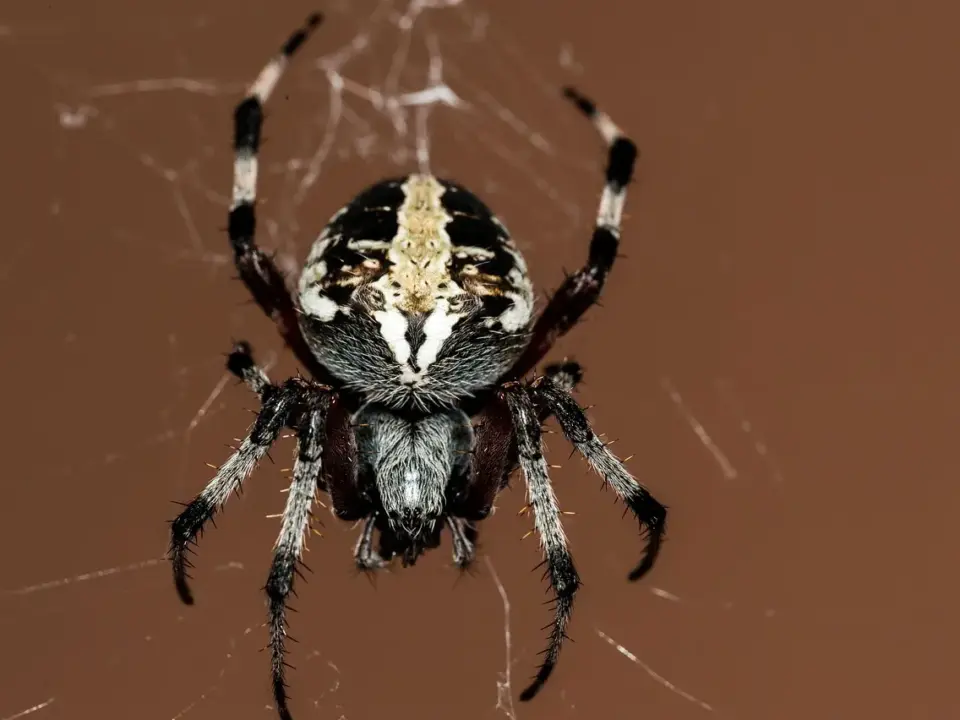 5 væveteknikker, der giver diskret, elegant glans