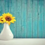 7 kendetegn ved wabi-sabi-stil