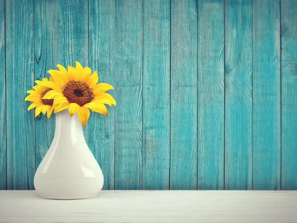 7 kendetegn ved wabi-sabi-stil