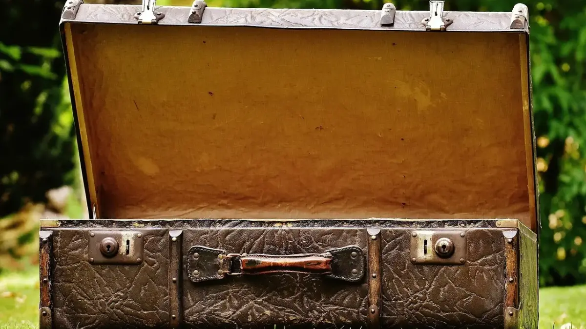 Hvad er nubuck? Opdag hemmelighederne bag det bløde, luksuriøse skind