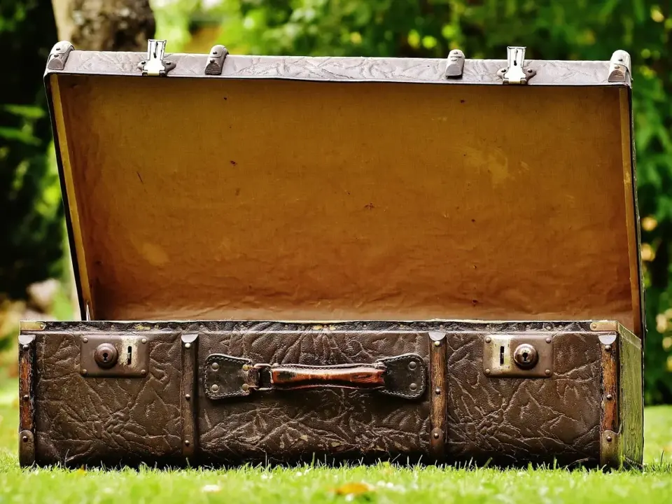 Hvad er nubuck? Opdag hemmelighederne bag det bløde, luksuriøse skind