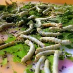 Hvad er silke lavet af? Opdag hemmelighederne bag det luksuriøse stof