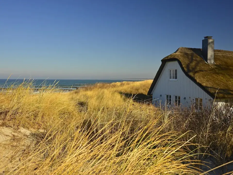 Hvor finder skandinaviske hjem deres farveinspiration?
