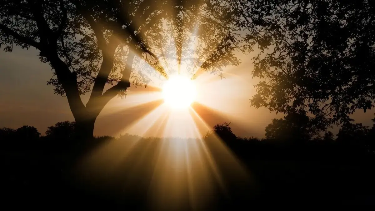 Lysbilleder: fang solens skygger som inspiration