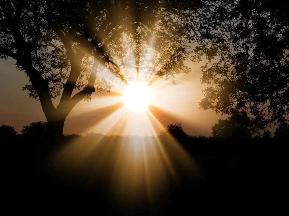 Lysbilleder: fang solens skygger som inspiration